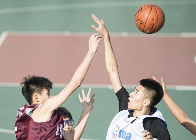 成人嫩草影院免费网址